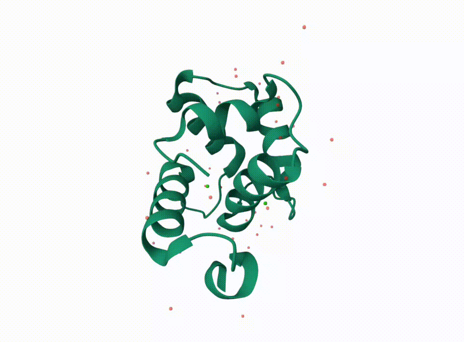 Calcium signaling protein structure