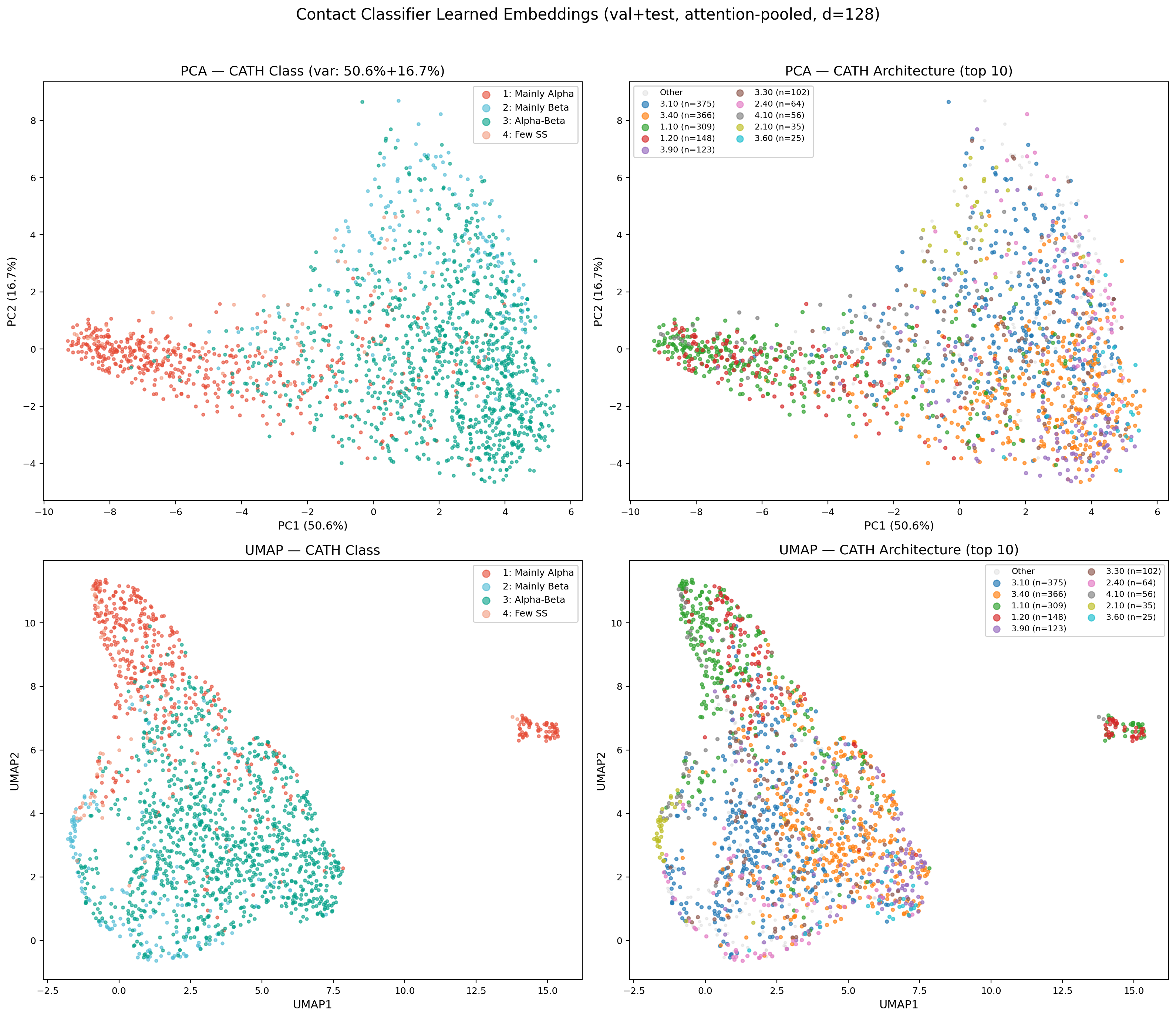 PCA and UMAP of learned protein embeddings colored by CATH class and architecture
