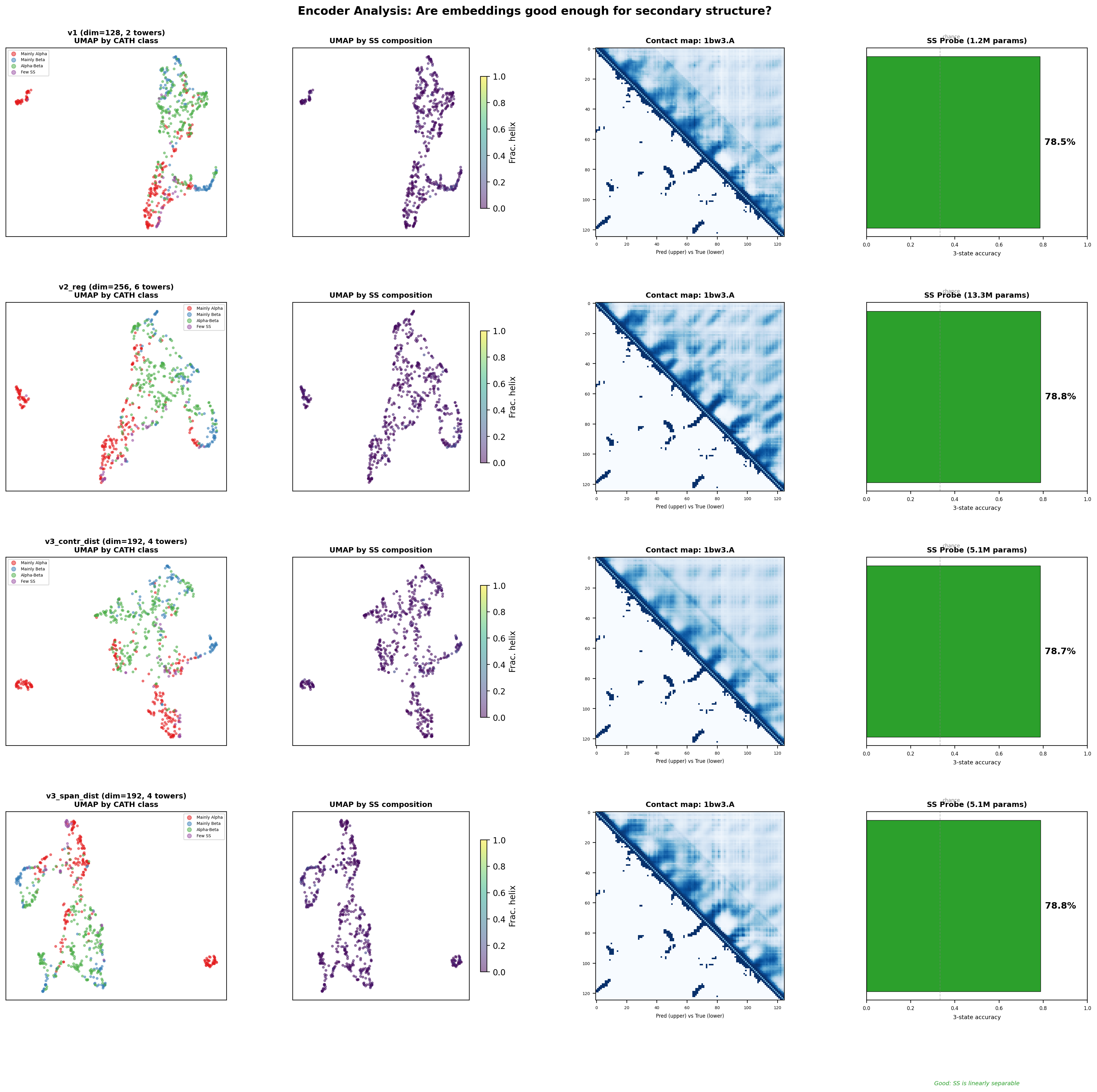 Encoder analysis: UMAPs, contact maps, SS probes